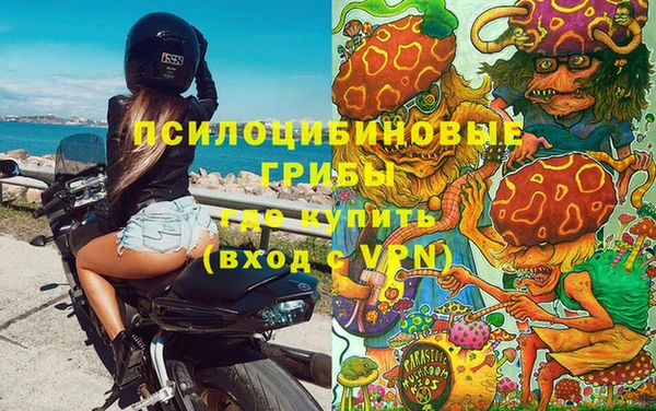 MESCALINE Аркадак