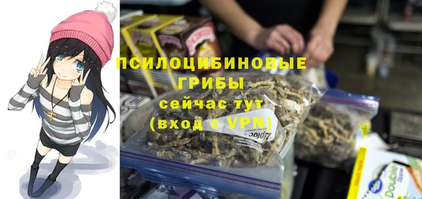 MESCALINE Аркадак